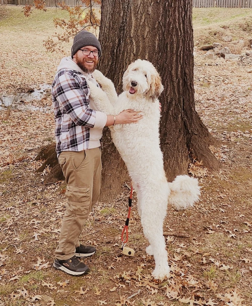 A large white doodle standing up to hug Ben