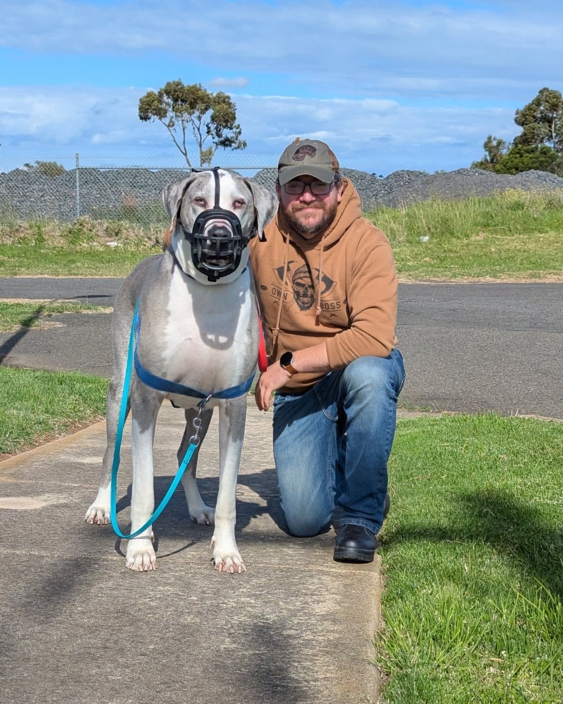 Ben kneeling beside a very large grey and white dog wearing a basket muzzle